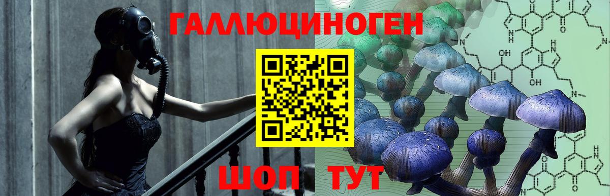 Псилоцибиновые грибы мицелий Лесной